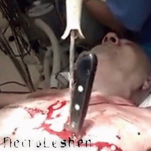 Necroleshen : Excessive Abuse